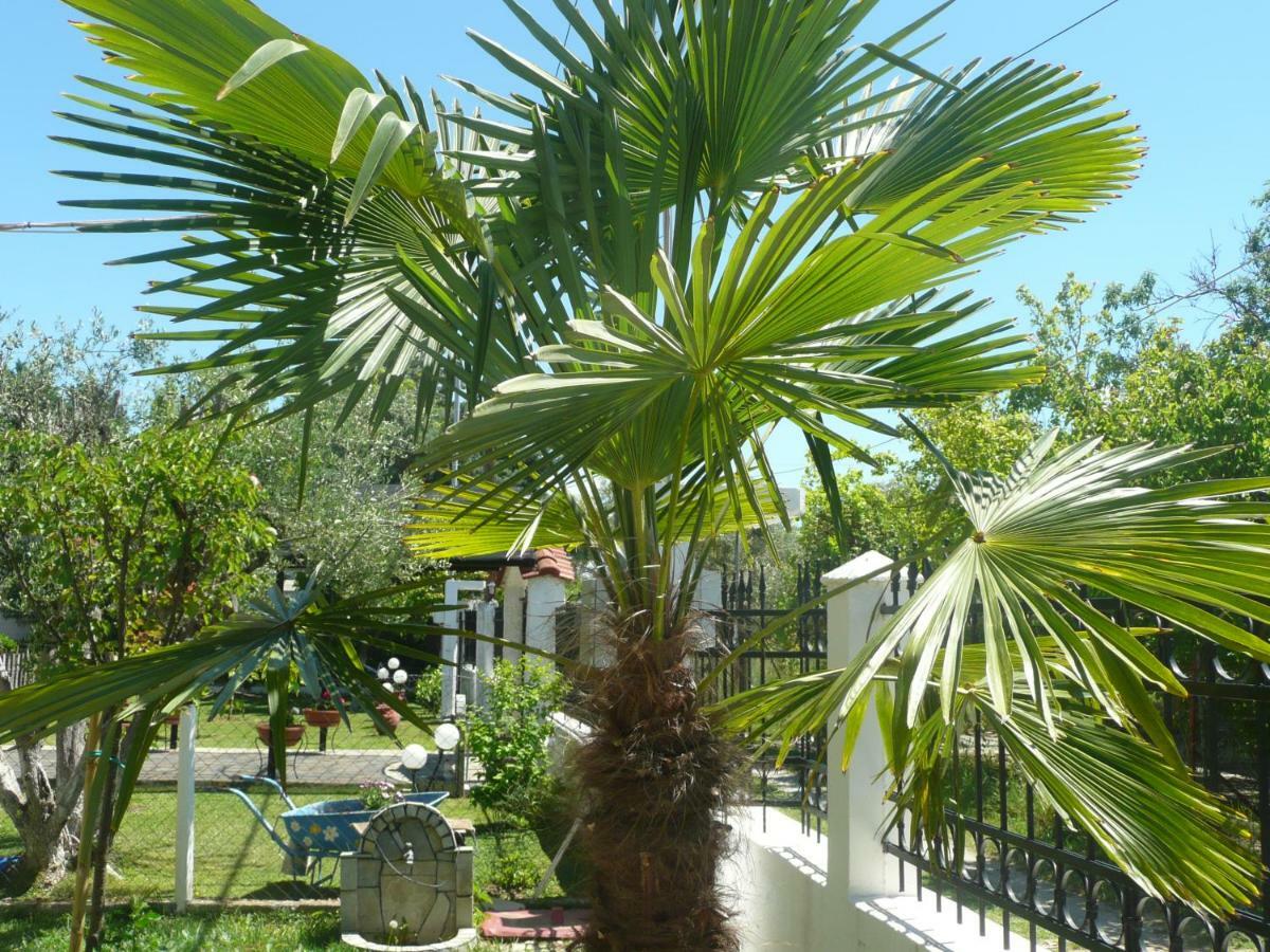 Kallilkratia Holiday Flat 2 Nea Kallikrateia المظهر الخارجي الصورة